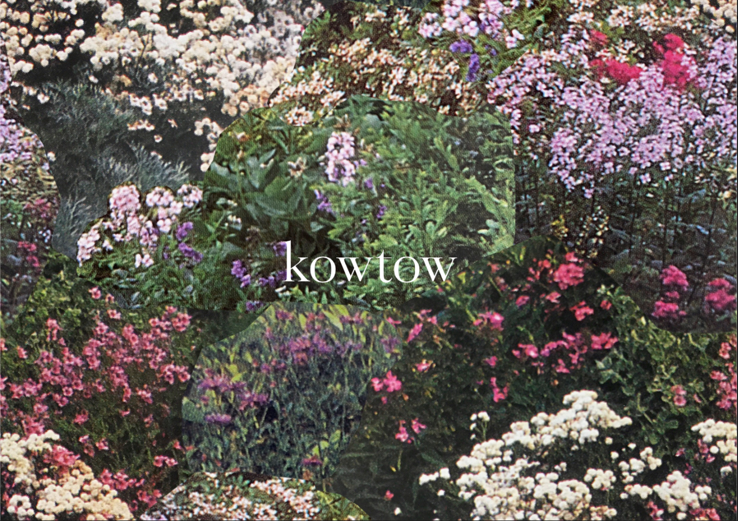 Kowtow